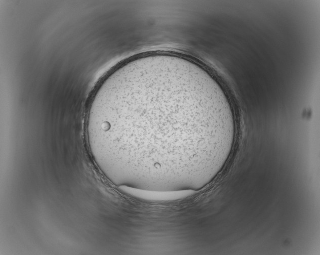 X0000111131316200907211104