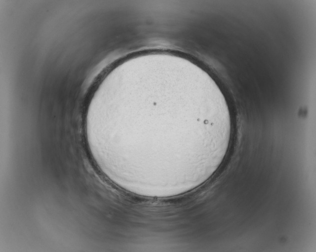 X0000111131318200907211104