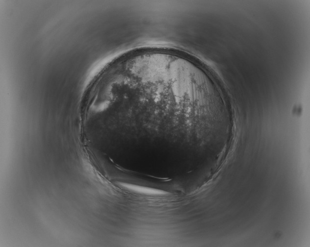 X0000111131319200907211104