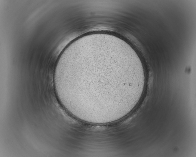 X0000111131321200907211104