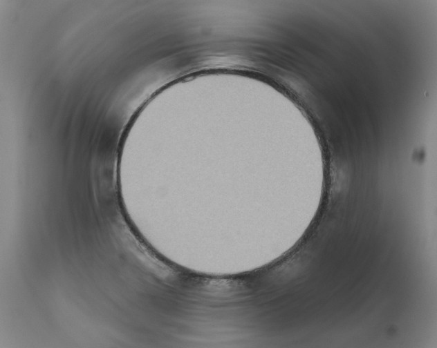 X0000111131322200907211104