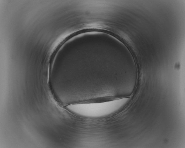 X0000111131323200907211105