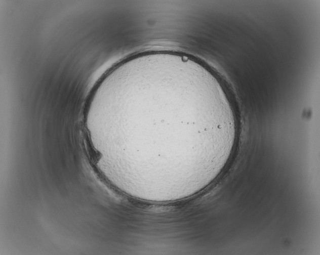 X0000111131325200907211105