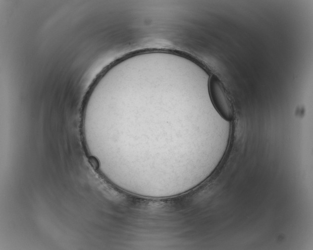 X0000111131326200907211105