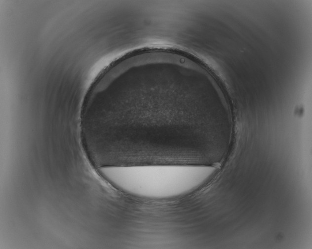 X0000111131327200907211105