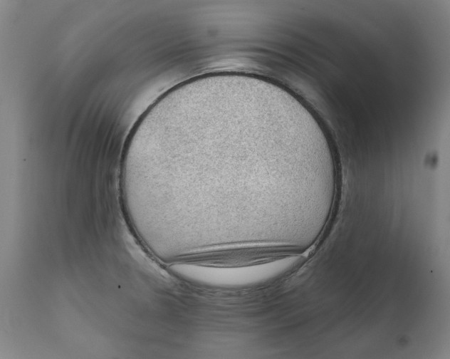 X0000111131330200907211105