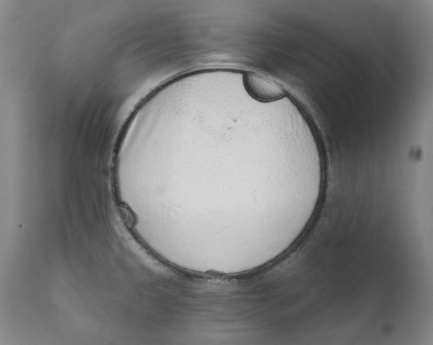 X0000111131333200907211105