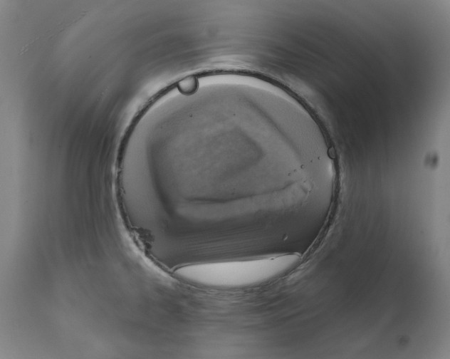 X0000111131334200907211105
