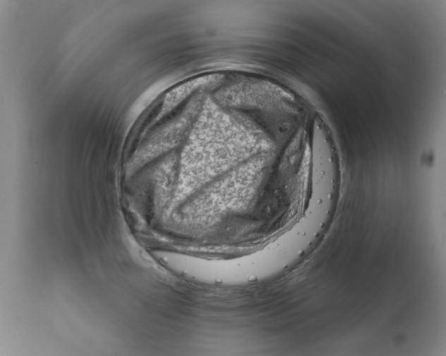 X0000111131338200907211105