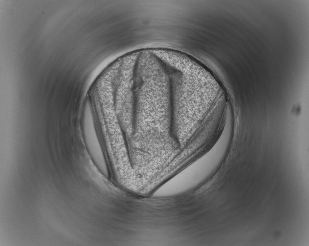 X0000111131340200907211105