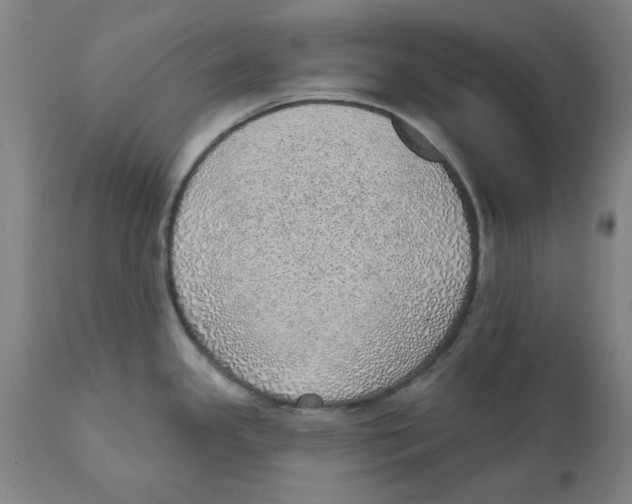 X0000111131341200907211105