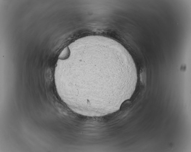 X0000111131347200907211104