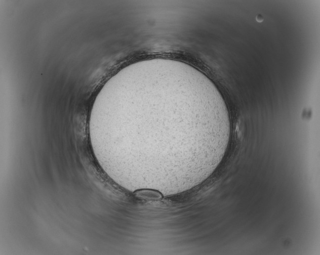 X0000111131348200907211104