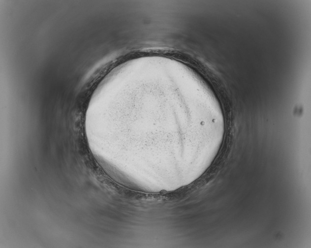 X0000111131351200907211104