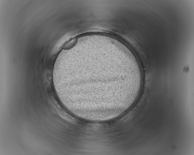X0000111131355200907211104