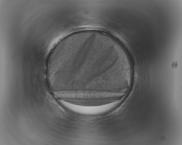 X0000111131357200907211104