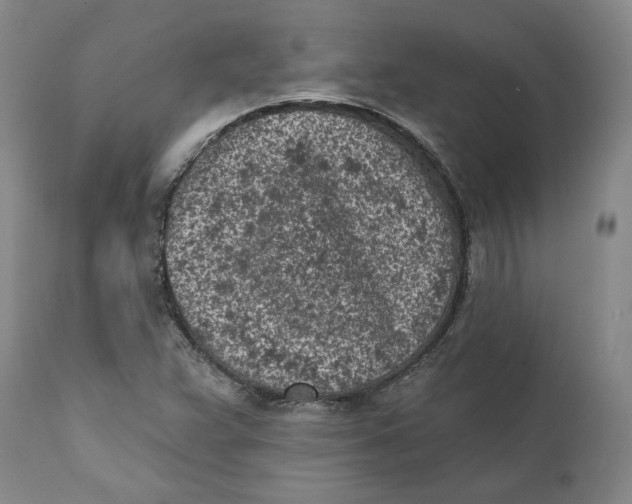X0000111131359200907211104