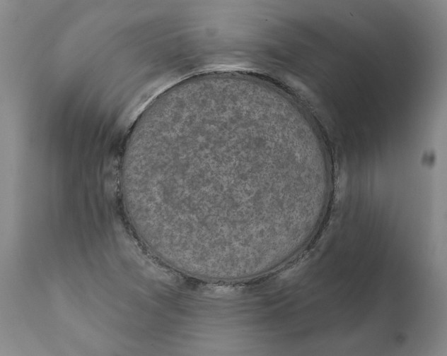 X0000111131361200907211104