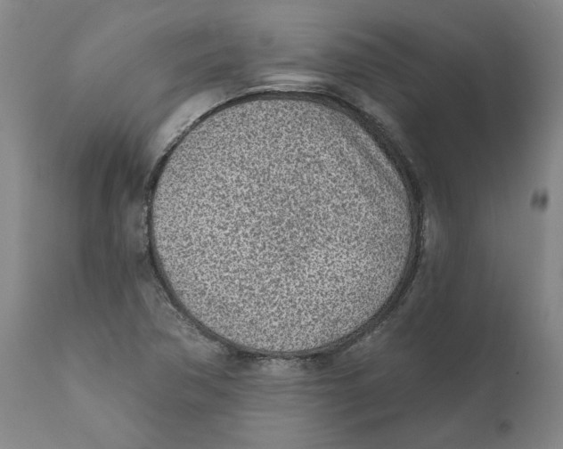 X0000111131362200907211104