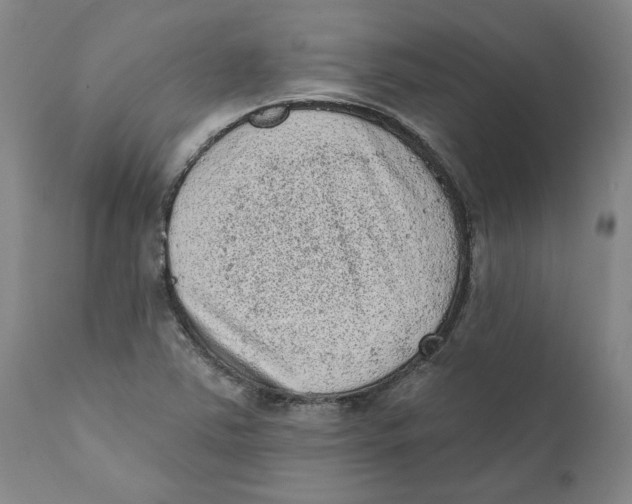 X0000111131363200907211104