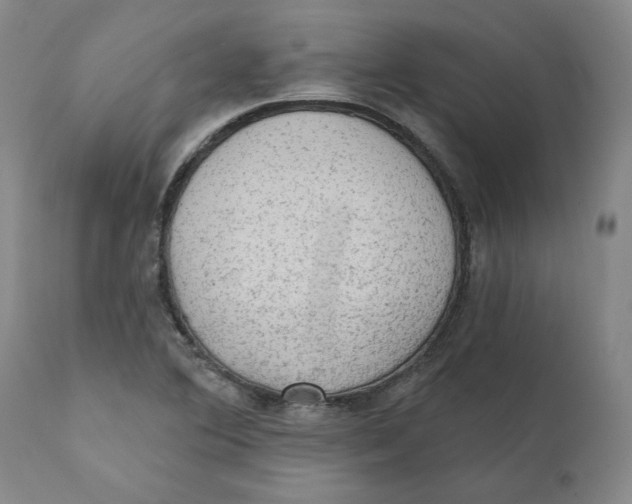 X0000111131364200907211104