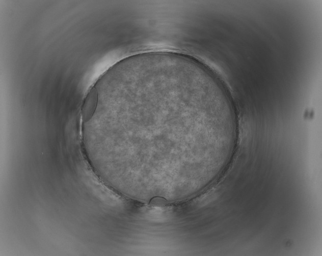 X0000111131365200907211104