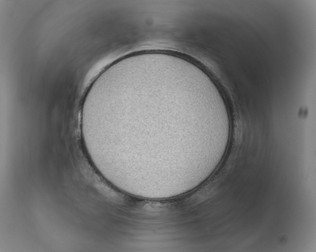 X0000111131366200907211104
