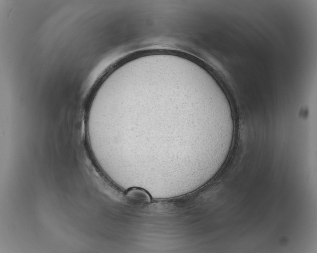 X0000111131368200907211103