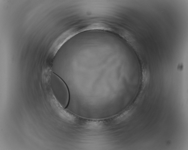 X0000111131369200907211103
