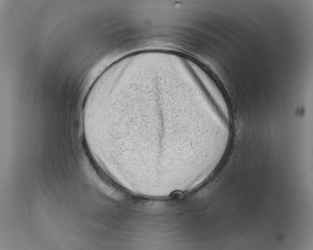 X0000111131371200907211103