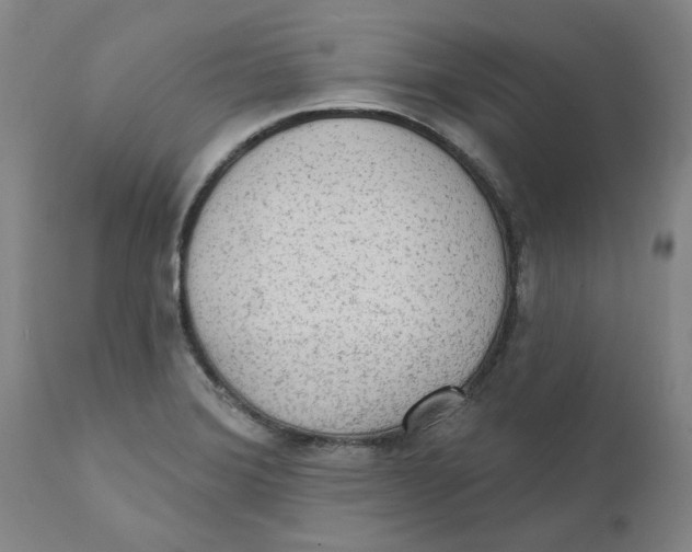 X0000111131372200907211103