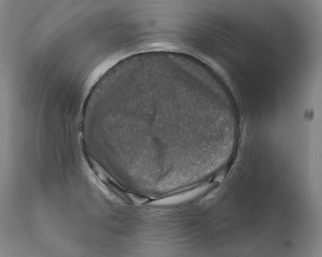 X0000111131373200907211103