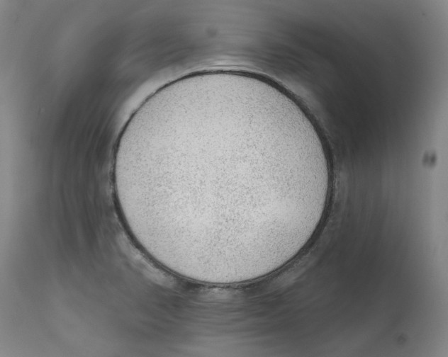 X0000111131374200907211103