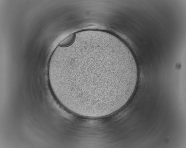 X0000111131375200907211103