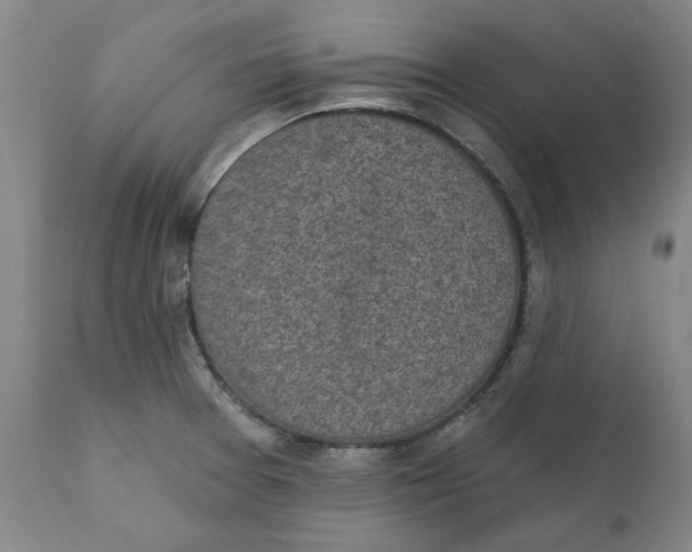 X0000111131377200907211103