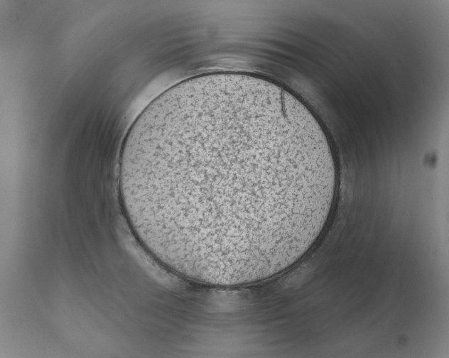 X0000111131378200907211103