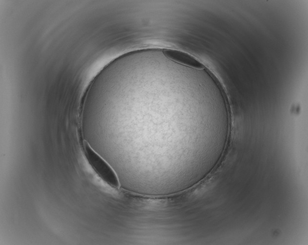 X0000111131381200907211103