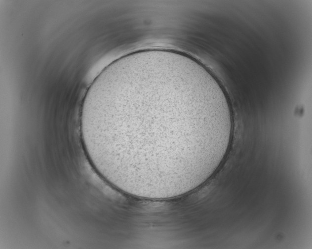 X0000111131382200907211103