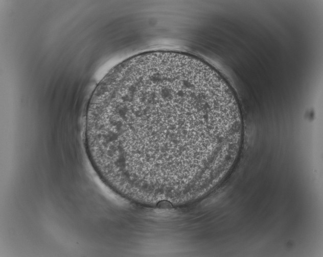 X0000111131383200907211103