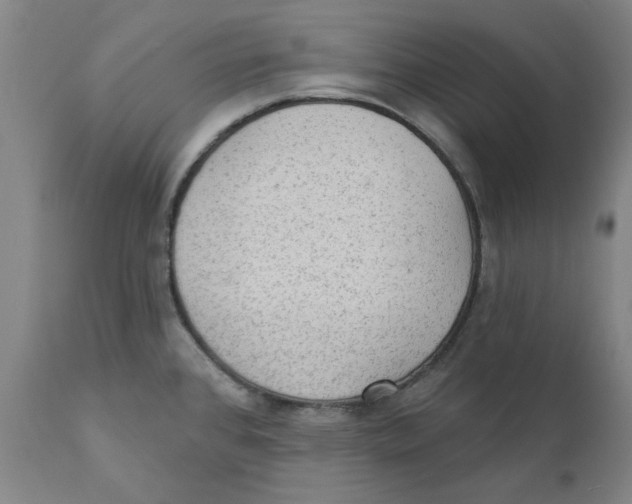 X0000111131384200907211103