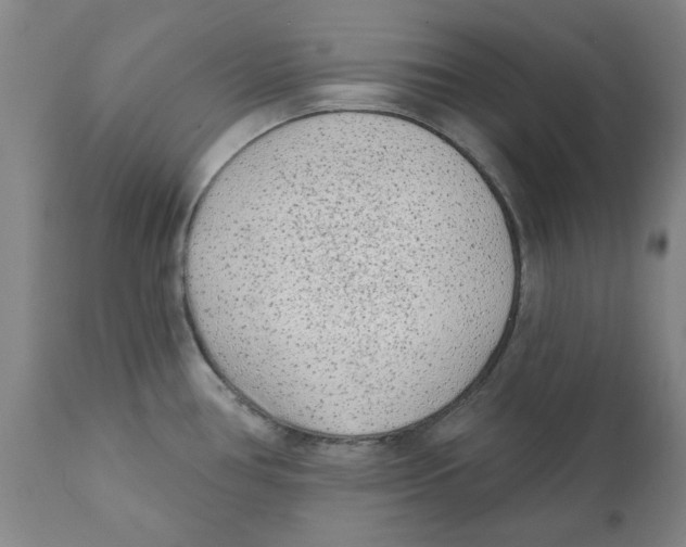 X0000111131386200907211103