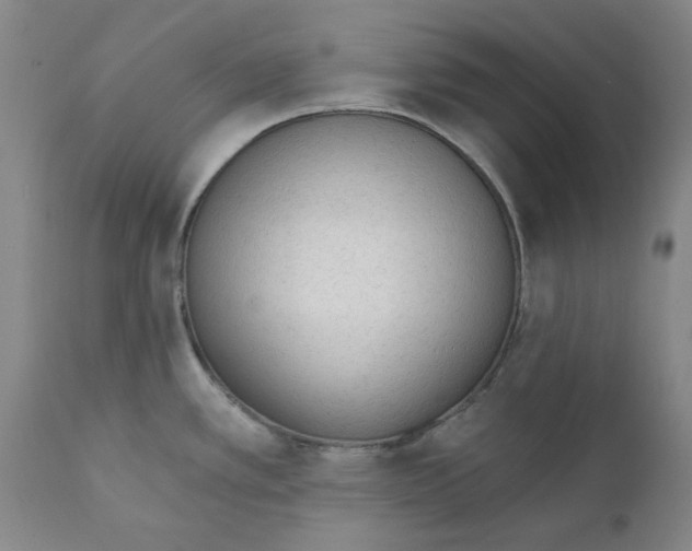 X0000111131389200907211103