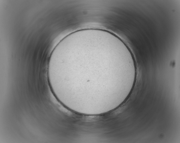 X0000111131390200907211103