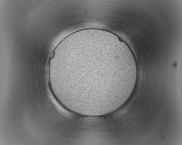 X0000111131391200907211103