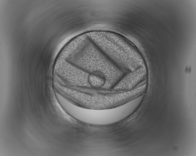 X0000111131392200907211103