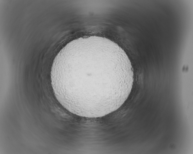 X0000111131393200907211102