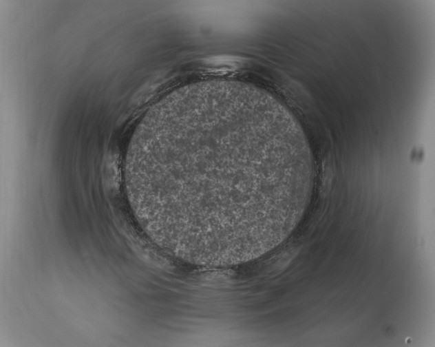 X0000111131394200907211102
