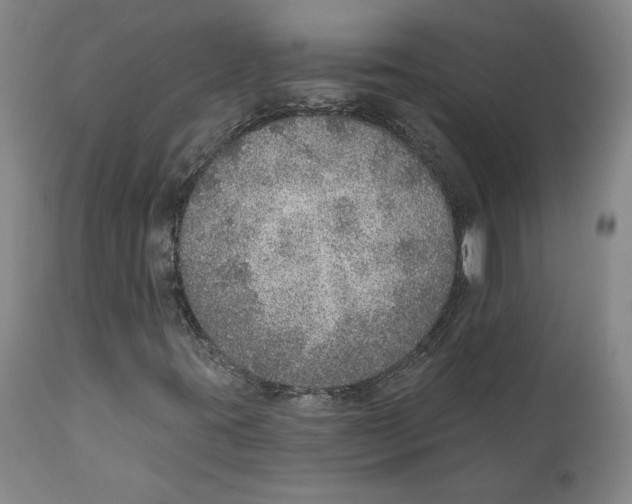 X0000111131395200907211103