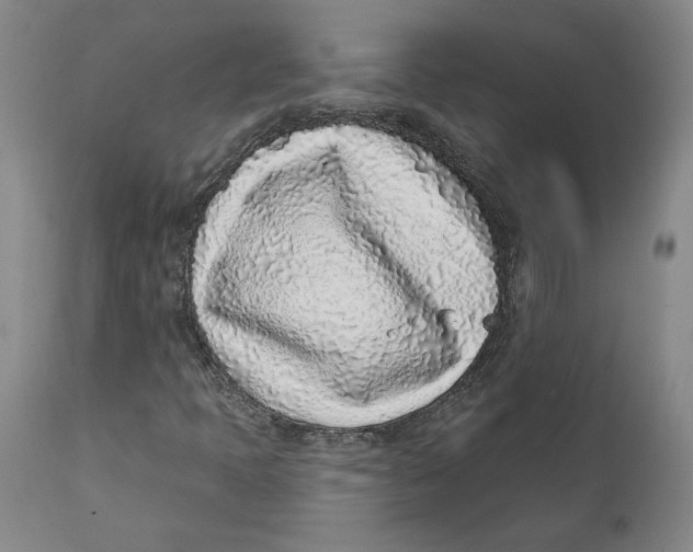 X0000111131397200907211103