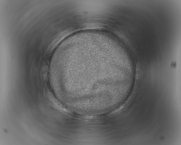 X0000111131401200907211103